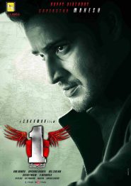 1 Nenokkadine