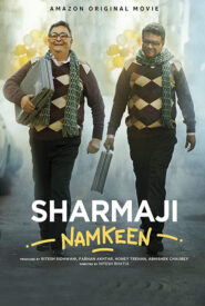 Sharmaji Namkeen